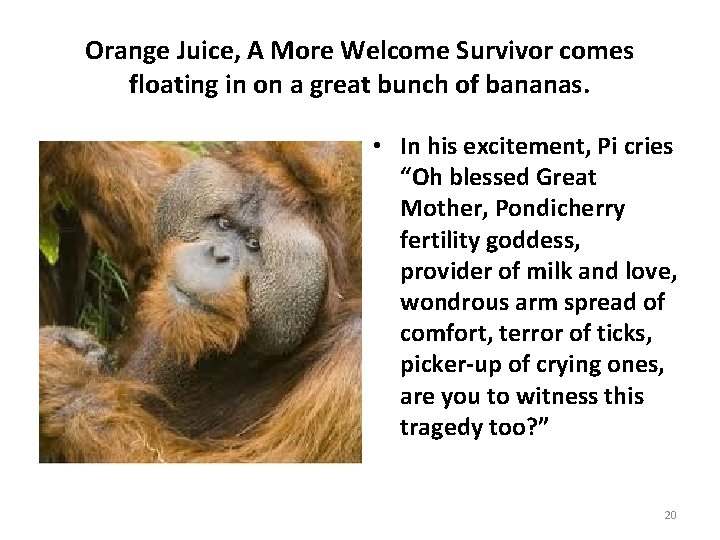 Orange Juice, A More Welcome Survivor comes floating in on a great bunch of