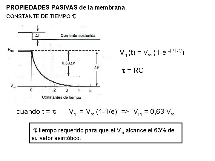 PROPIEDADES PASIVAS de la membrana CONSTANTE DE TIEMPO t Vm(t) = V (1 -e