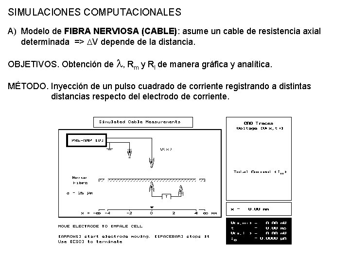 SIMULACIONES COMPUTACIONALES A) Modelo de FIBRA NERVIOSA (CABLE): asume un cable de resistencia axial