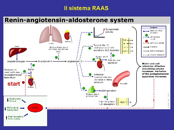 Il sistema RAAS start 