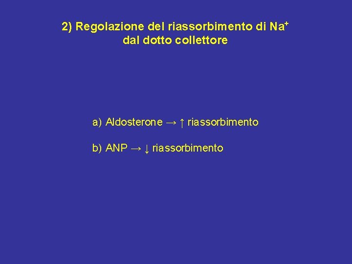 2) Regolazione del riassorbimento di Na+ dal dotto collettore a) Aldosterone → ↑ riassorbimento