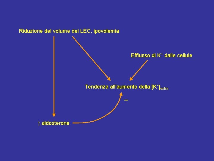 Riduzione del volume del LEC, ipovolemia Efflusso di K+ dalle cellule Tendenza all’aumento della