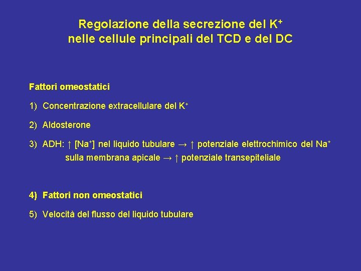 Regolazione della secrezione del K+ nelle cellule principali del TCD e del DC Fattori