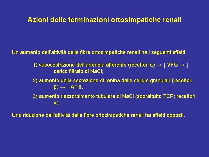 Azioni delle terminazioni ortosimpatiche renali Un aumento dell’attività delle fibre ortosimpatiche renali ha i