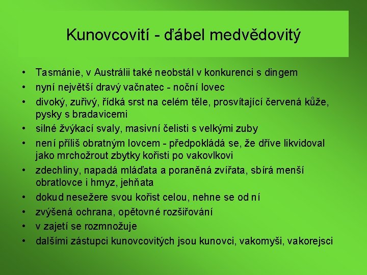 Kunovcovití - ďábel medvědovitý • Tasmánie, v Austrálii také neobstál v konkurenci s dingem