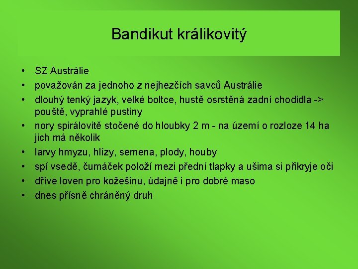 Bandikut králikovitý • SZ Austrálie • považován za jednoho z nejhezčích savců Austrálie •