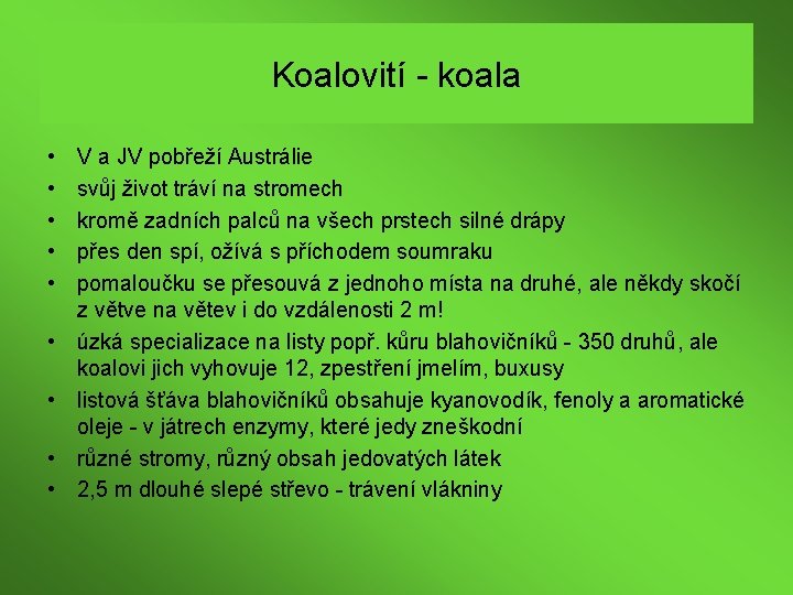 Koalovití - koala • • • V a JV pobřeží Austrálie svůj život tráví