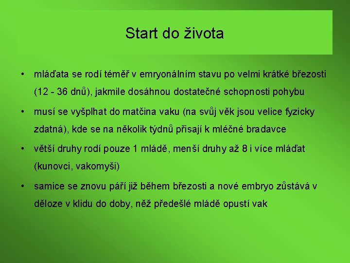 Start do života • mláďata se rodí téměř v emryonálním stavu po velmi krátké