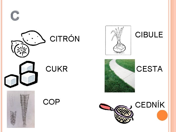 C CITRÓN CUKR COP CIBULE CESTA CEDNÍK 