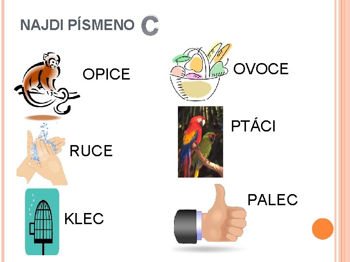 NAJDI PÍSMENO OPICE C OVOCE PTÁCI RUCE PALEC KLEC 