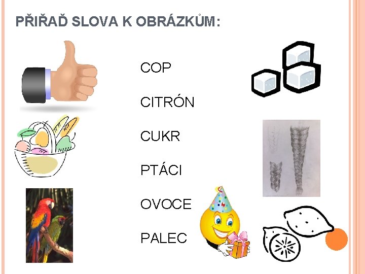 PŘIŘAĎ SLOVA K OBRÁZKŮM: COP CITRÓN CUKR PTÁCI OVOCE PALEC 