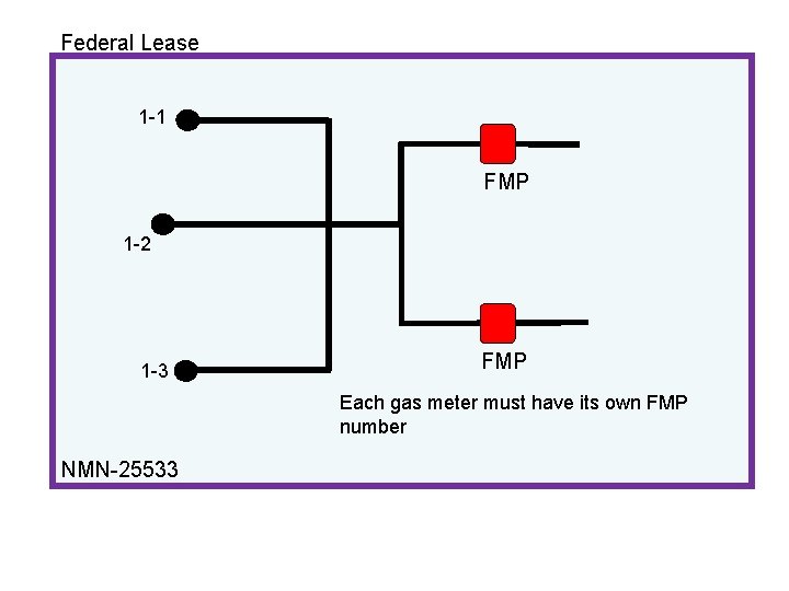 Federal Lease 1 -1 FMP 1 -2 1 -3 FMP Each gas meter must