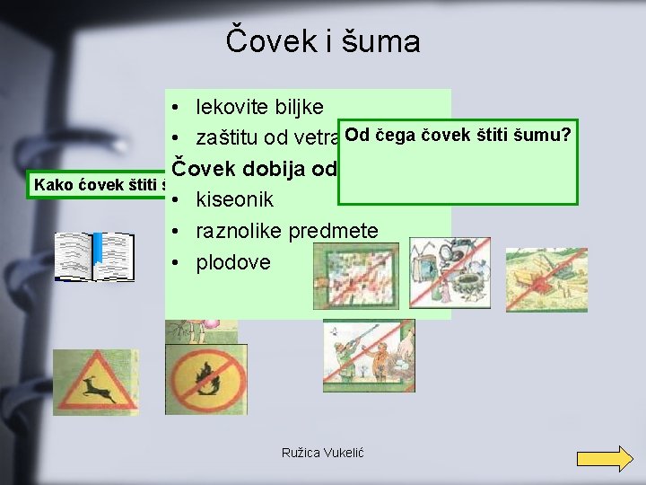 Čovek i šuma • lekovite biljke • zaštitu od vetra Od čega čovek štiti