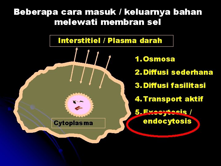 Beberapa cara masuk / keluarnya bahan melewati membran sel Interstitiel / Plasma darah 1.