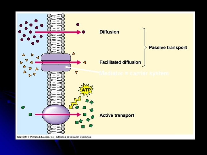 Mediator = carrier system 