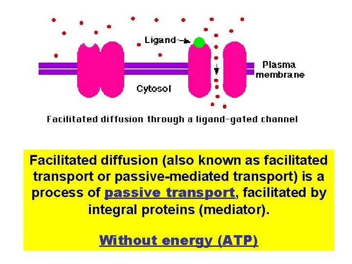 Facilitated diffusion (also known as facilitated transport or passive-mediated transport) is a process of