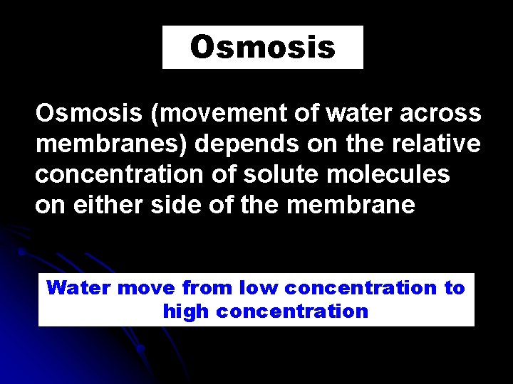 Osmosis (movement of water across membranes) depends on the relative concentration of solute molecules