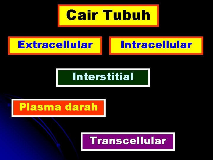 Cair Tubuh Extracellular Interstitial Plasma darah Transcellular 