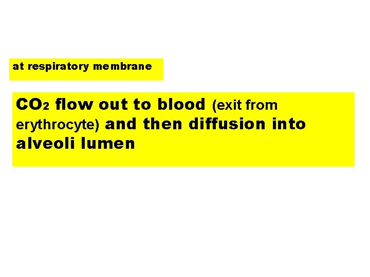 at respiratory membrane CO 2 flow out to blood (exit from erythrocyte) and then