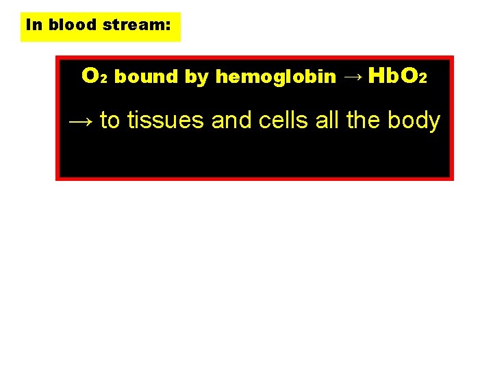 In blood stream: O 2 bound by hemoglobin → Hb. O 2 → to