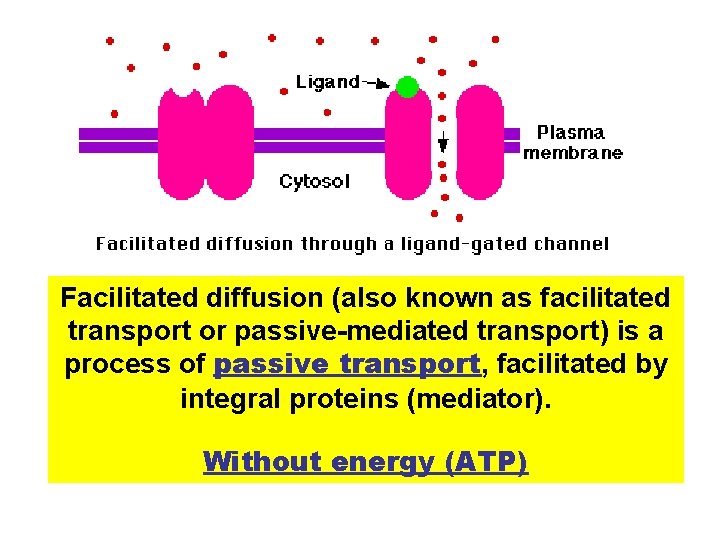 Facilitated diffusion (also known as facilitated transport or passive-mediated transport) is a process of