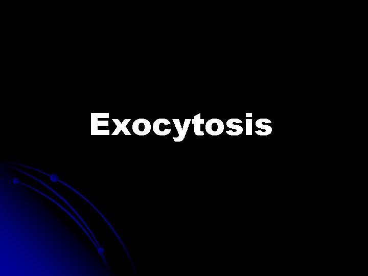 Exocytosis 