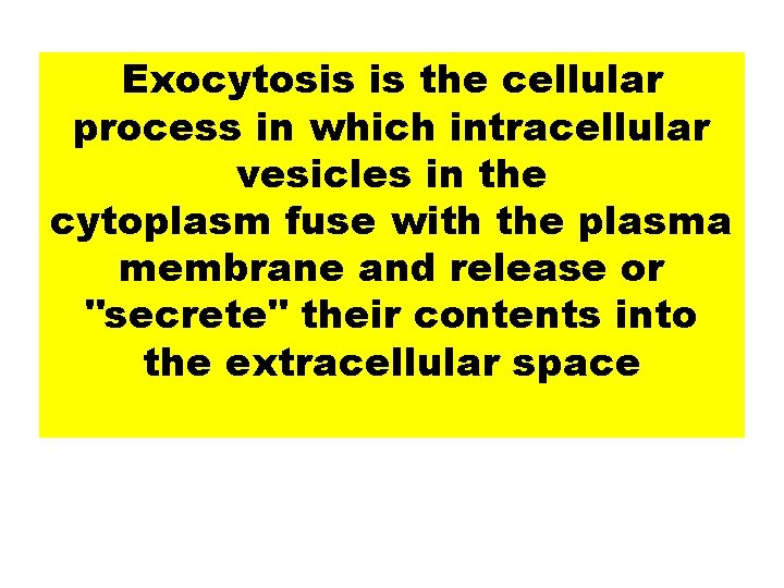 Exocytosis is the cellular process in which intracellular vesicles in the cytoplasm fuse with