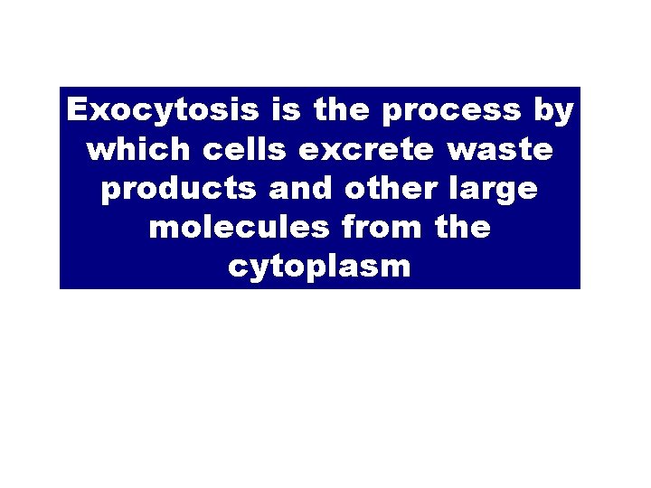 Exocytosis is the process by which cells excrete waste products and other large molecules