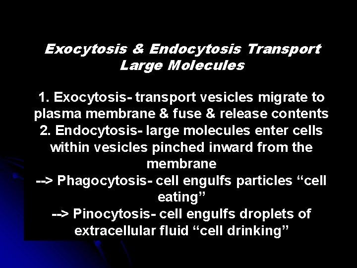 Exocytosis & Endocytosis Transport Large Molecules 1. Exocytosis- transport vesicles migrate to plasma membrane