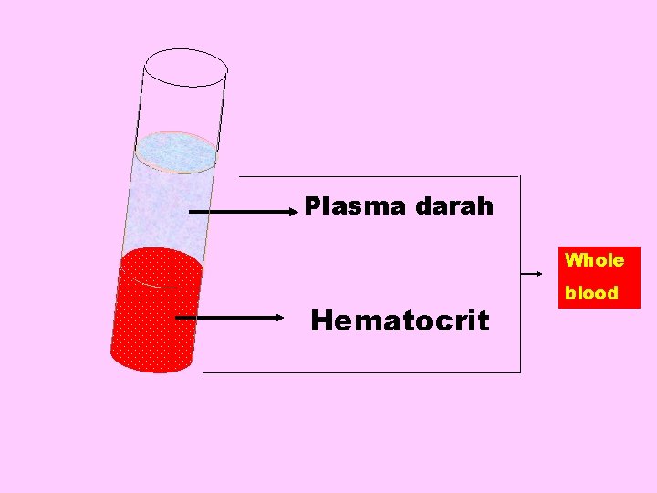 Plasma darah Whole Hematocrit blood 