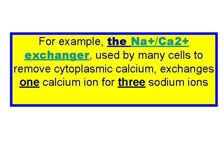 For example, the Na+/Ca 2+ exchanger, used by many cells to remove cytoplasmic calcium,