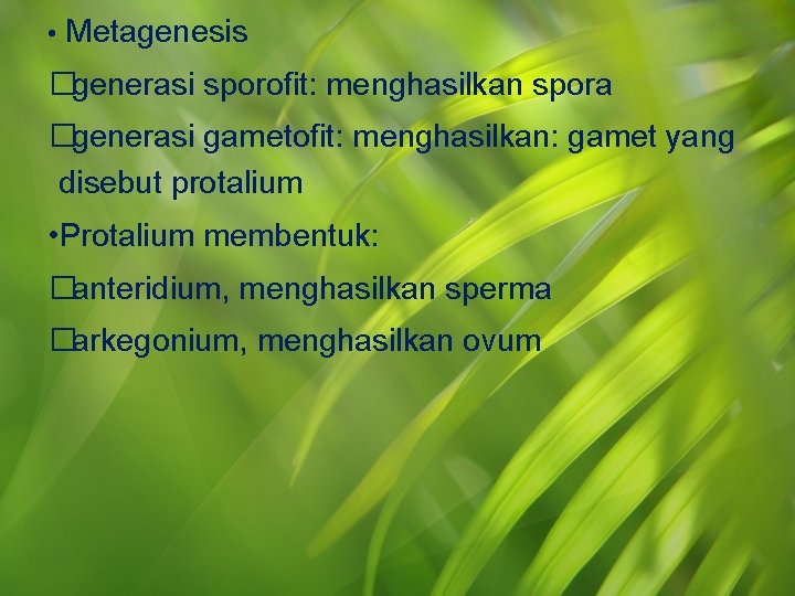  • Metagenesis �generasi sporofit: menghasilkan spora �generasi gametofit: menghasilkan: gamet yang disebut protalium