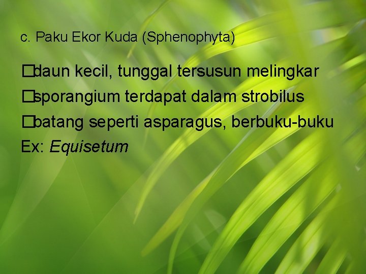 c. Paku Ekor Kuda (Sphenophyta) �daun kecil, tunggal tersusun melingkar �sporangium terdapat dalam strobilus