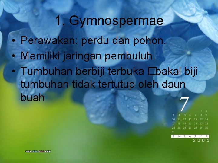1. Gymnospermae • Perawakan: perdu dan pohon. • Memiliki jaringan pembuluh. • Tumbuhan berbiji