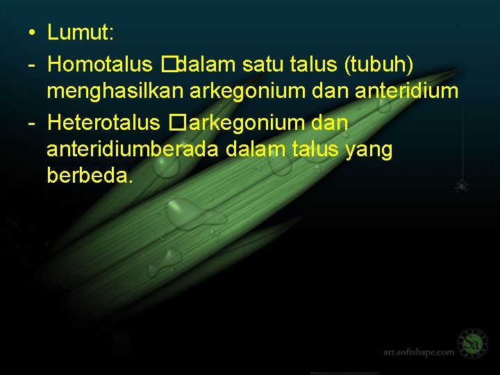  • Lumut: - Homotalus �dalam satu talus (tubuh) menghasilkan arkegonium dan anteridium -