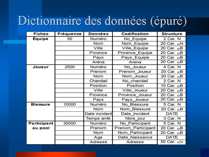 Dictionnaire des données (épuré) 