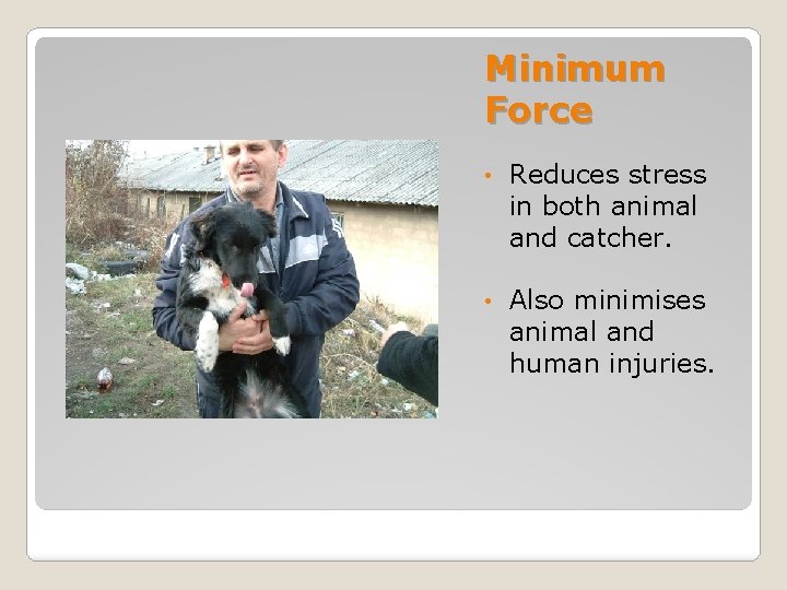 Minimum Force • Reduces stress in both animal and catcher. • Also minimises animal