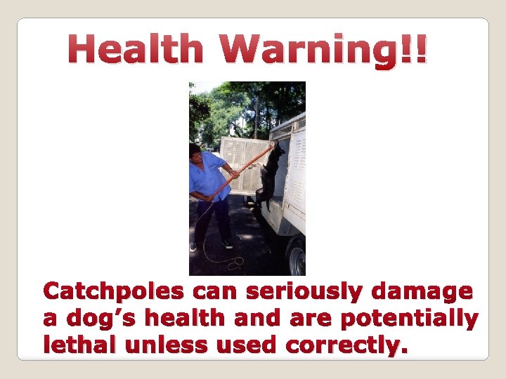 Health Warning!! Catchpoles can seriously damage a dog’s health and are potentially lethal unless