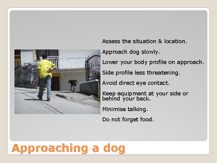 Assess the situation & location. Approach dog slowly. Lower your body profile on approach.