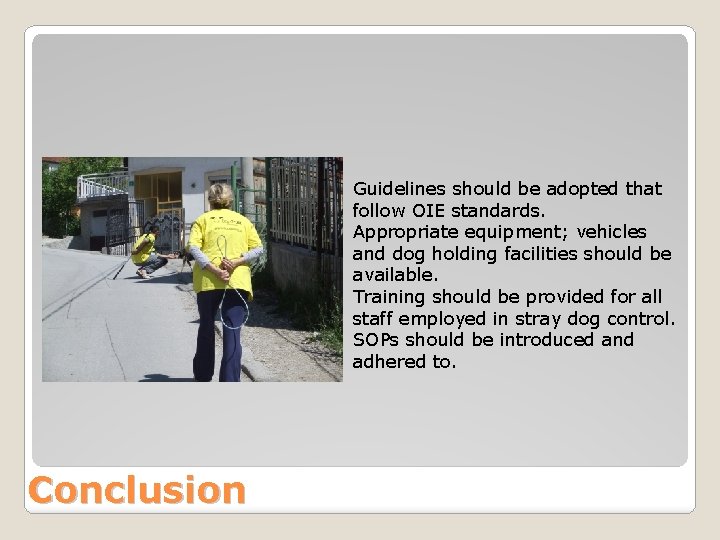 Guidelines should be adopted that follow OIE standards. Appropriate equipment; vehicles and dog holding