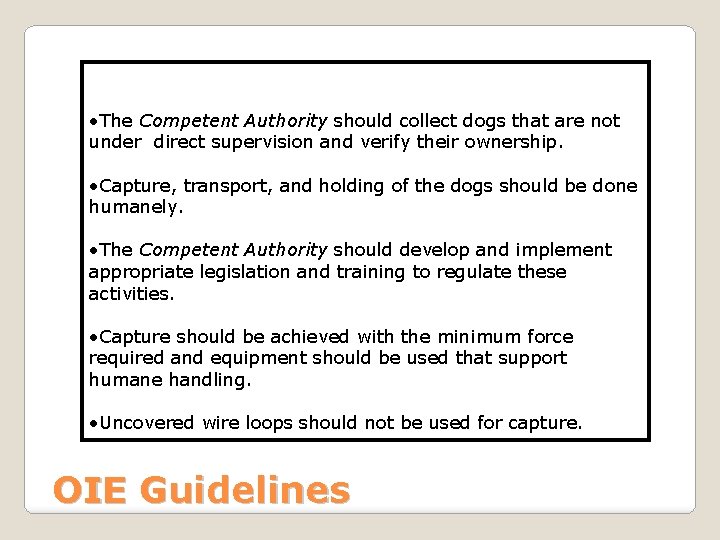  • The Competent Authority should collect dogs that are not under direct supervision