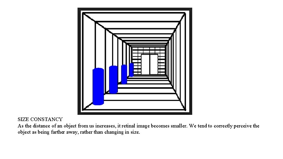 SIZE CONSTANCY As the distance of an object from us increases, it retinal image