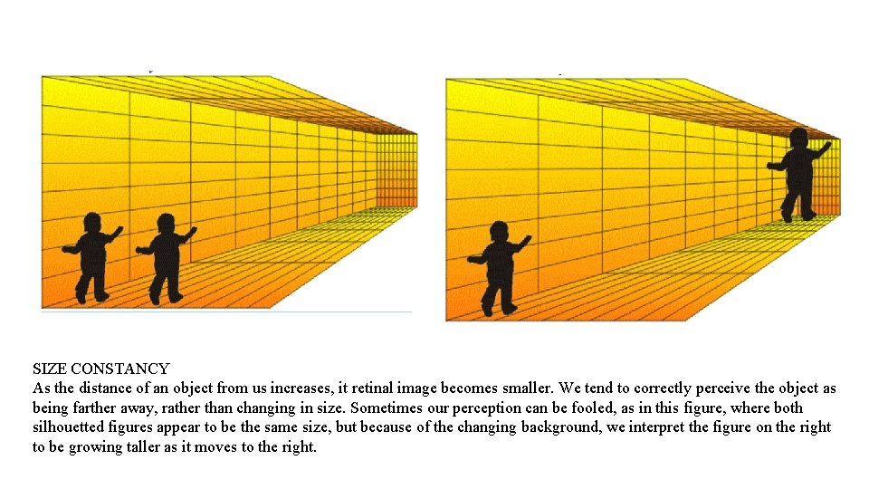 SIZE CONSTANCY As the distance of an object from us increases, it retinal image