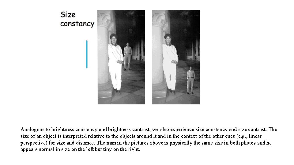 Analogous to brightness constancy and brightness contrast, we also experience size constancy and size