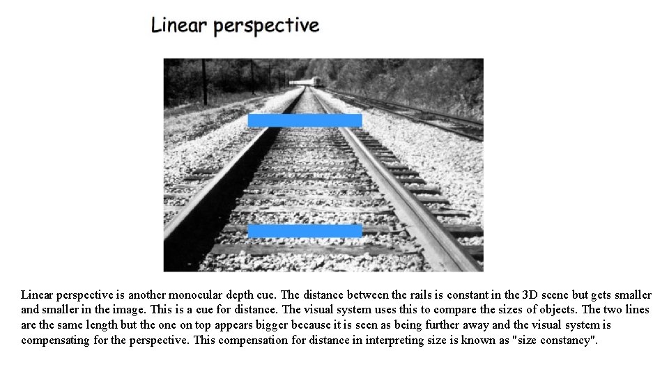 Linear perspective is another monocular depth cue. The distance between the rails is constant