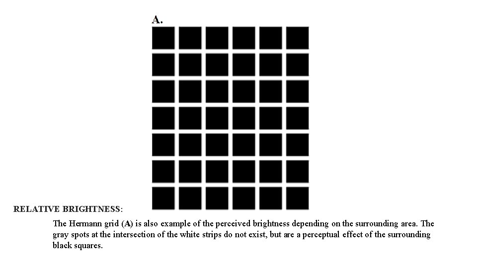 RELATIVE BRIGHTNESS: The Hermann grid (A) is also example of the perceived brightness depending