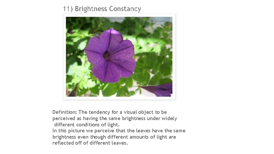 Definition: The tendency for a visual object to be perceived as having the same