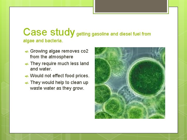 Case study getting gasoline and diesel fuel from algae and bacteria. Growing algae removes