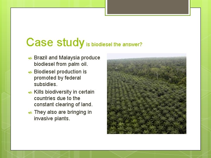 Case study is biodiesel the answer? Brazil and Malaysia produce biodiesel from palm oil.