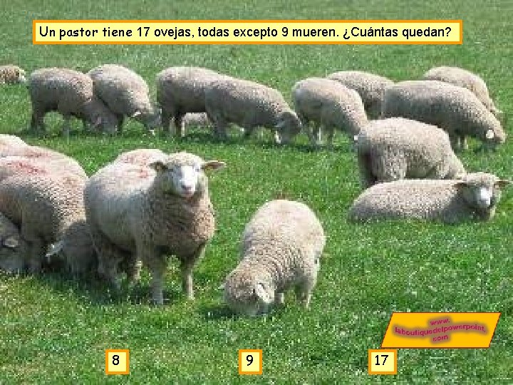 Un pastor tiene 17 ovejas, todas excepto 9 mueren. ¿Cuántas quedan? 8 9 17